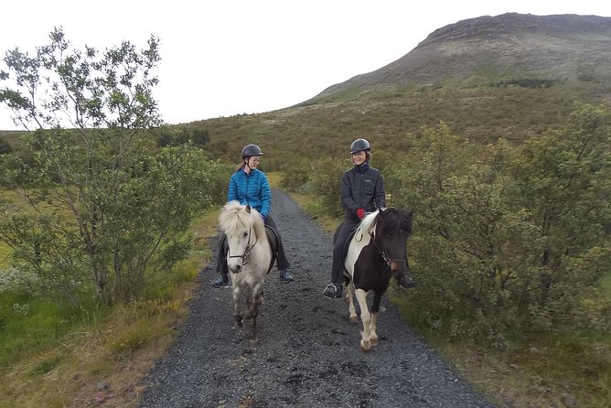 1+ hour Private Horse riding tour from Reykjavík/Mosfellsbær - Key things to know before you ride