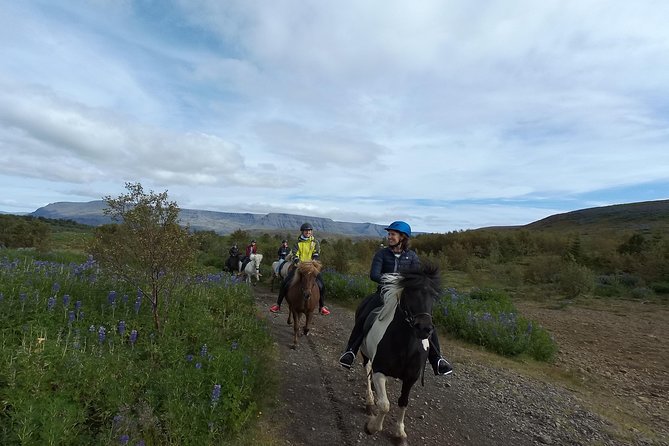 1+ hour Private Horse riding tour from Reykjavík/Mosfellsbær - Mt. Úlfarsfell riding is a smart short escape from Reykjavík