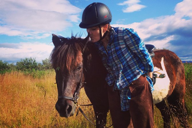1+ hour Private Horse riding tour from Reykjavík/Mosfellsbær - How “Icelandic riding” feels in practice: mounting, gaits, and real coaching
