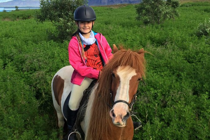 1+ hour Private Horse riding tour from Reykjavík/Mosfellsbær - Price, private value, and why $144.82 can make sense