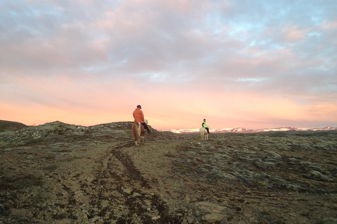1+ hour Private Horse riding tour from Reykjavík/Mosfellsbær - Weather, safety rules, and who this ride fits best