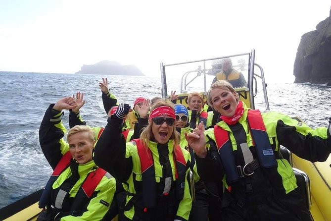1-Hour Small Group Sightseeing Boat Tour in Vestmannaeyjar - Key things that make this boat tour work