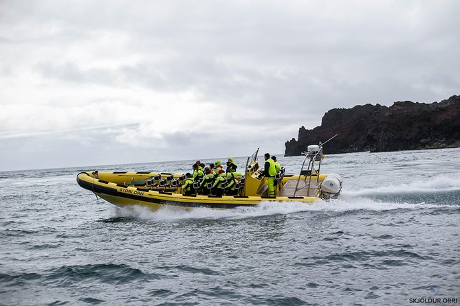 1-Hour Small Group Sightseeing Boat Tour in Vestmannaeyjar - The guide and captain combo: stories, music, and real handling