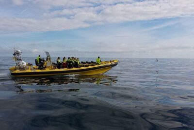 1-Hour Small Group Sightseeing Boat Tour in Vestmannaeyjar