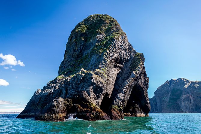 1-Hour Small Group Sightseeing Boat Tour in Vestmannaeyjar - Price and value: what you really pay for at $169.31
