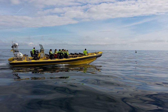 1-Hour Small Group Sightseeing Boat Tour in Vestmannaeyjar - Getting fitted fast: how the gear keeps you warm and safe