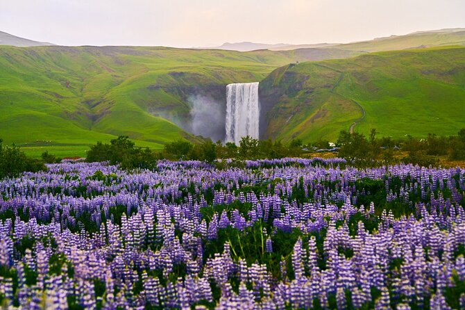 10 hours Private South Coast Guided Tour - Reynisfjara black sand: beautiful, careful, and worth the time
