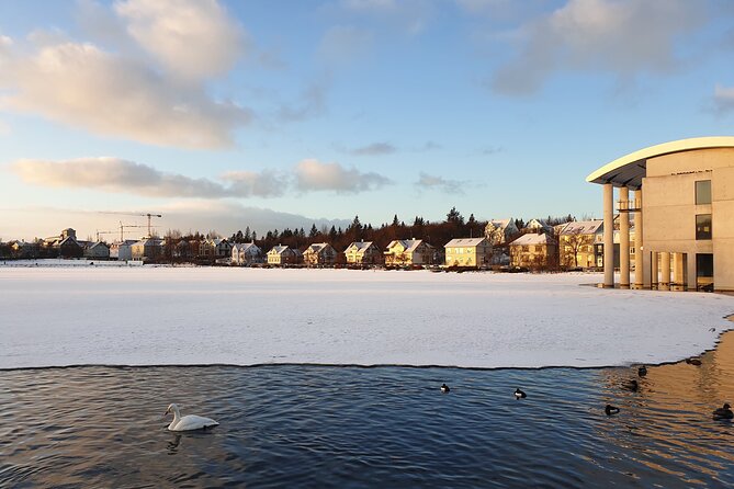 2-Hour Reykjavik Private Walking Tour - Stop 2: Hallgrímskirkja, largest church in Iceland and the optional tower view