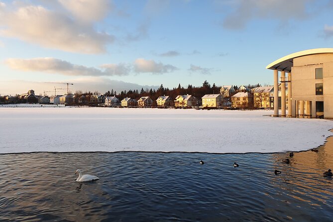 2-Hour Reykjavik Private Walking Tour - Lake Tjörnin statue moments and the sculpture garden interlude