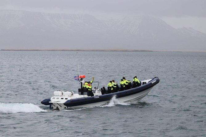 2-Hour RIB Boat Whale Watching Tour from Reykjavik - Key Highlights You’ll Feel Right Away
