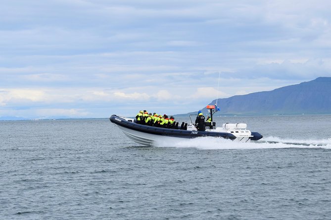 2-Hour RIB Boat Whale Watching Tour from Reykjavik - Whale Watching Targets: Who You’re Actually Looking For