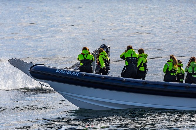 2-Hour RIB Boat Whale Watching Tour from Reykjavik - Small Group Limits: Why Max 12 Travelers Works