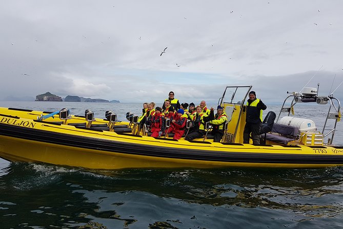 2 hour Round Trip in Vestmannaeyjar on a RIB Boat - Pushing Farther Out to the Gannet Island, Súlnasker