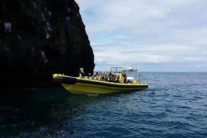 2 hour Round Trip in Vestmannaeyjar on a RIB Boat - Timing, Route Flow, and How to Get the Most Out of 2 Hours