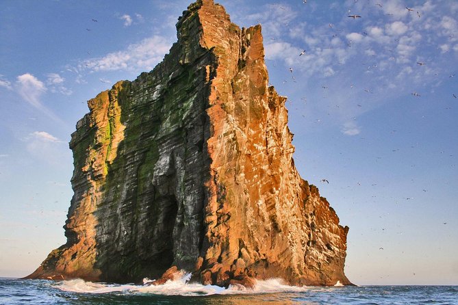 2 hour Round Trip in Vestmannaeyjar on a RIB Boat - Stop on the Water: Caves, Elephant Rock, and Sea Bird Watching