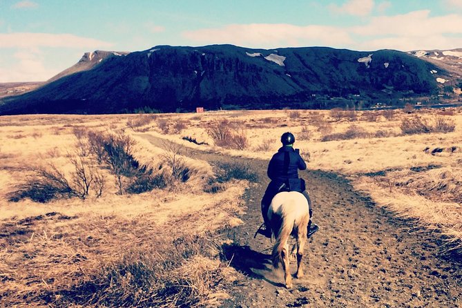 2 hours Private Horse Riding to Lake Hafravatn, Reykjavík - Mos - Why this private horseback ride to Lake Hafravatn feels different