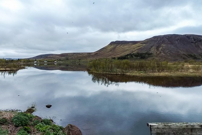2 hours Private Horse Riding to Lake Hafravatn, Reykjavík - Mos - Training on Icelandic horses: gaits, confidence, and how guides adapt