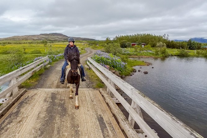 2 hours Private Horse Riding to Lake Hafravatn, Reykjavík - Mos - Comfort, safety, and who should choose this tour