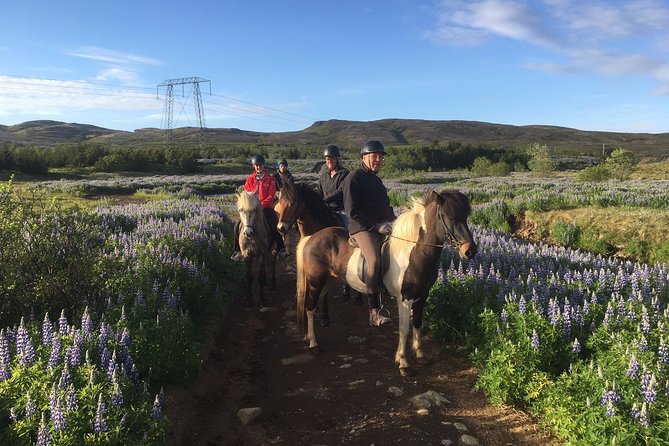 2 hours Private Horse Riding to Lake Hafravatn, Reykjavík - Mos - The ride schedule: 2 to 2.5 hours in the saddle, about 3 hours total