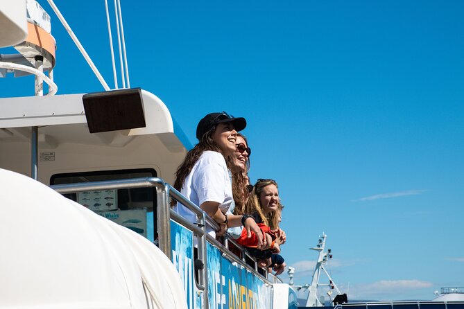 2 Hours Whale Watching Express Adventure - Wildlife Spotting That Makes Sense: Using the Commentary to Find Action