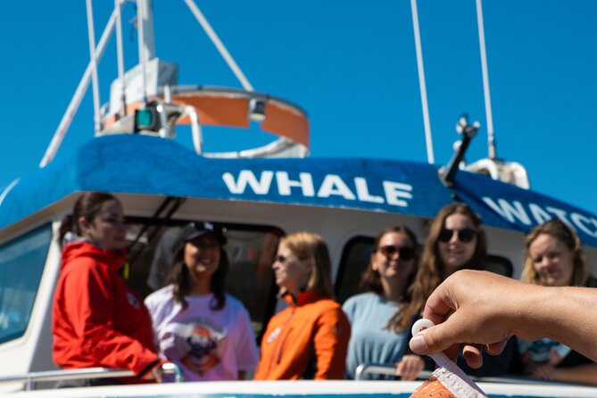 2 Hours Whale Watching Express Adventure - Should You Book Reykjavik Sailors Whale Watching Express Adventure?