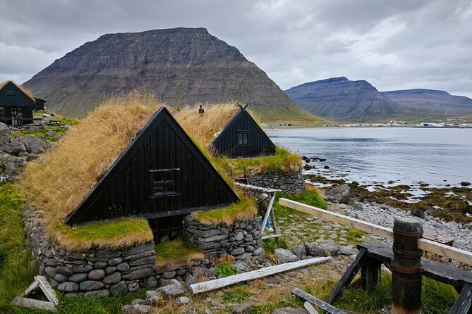 3-Day Wild and Wonderful Tour of Westfjords - Small Group Tour - Wildlife in three acts: birds, foxes, and seals