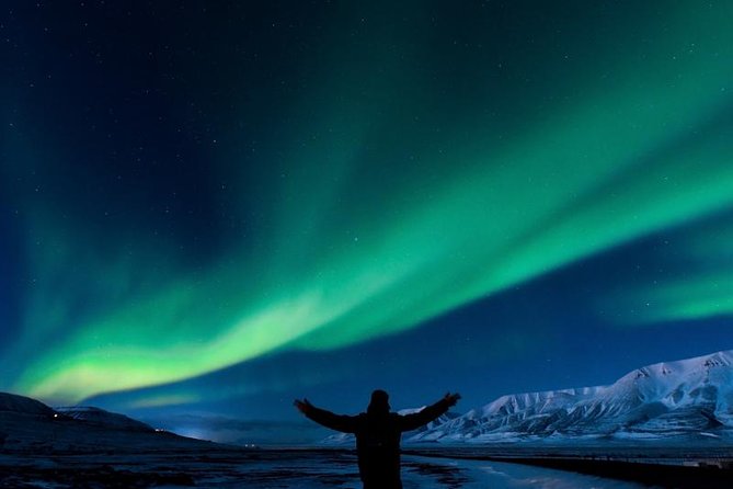 5-Days Land of Northern Lights Tour from Reykjavík - Golden Circle Day: Fridheimar, Geysir, Gullfoss, and Thingvellir