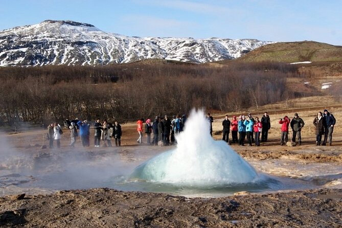 5-Days Land of Northern Lights Tour from Reykjavík - Price and What You Actually Get for $1,306.11
