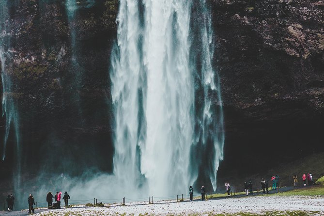 6-Day Minibus Tour Around Iceland from Reykjavik - Day 6: Whale watching from Hauganes, then the scenic return to Reykjavik