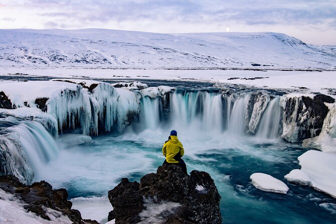 7 Day Iceland Ring Road and Snaefellsnes Tour with Accommodation - Day 4: Stuðlagil basalt columns, Dettifoss power, and Mývatn geothermal drama
