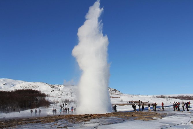 8-Day Small Group Tour Around Iceland from Reykjavik - Day 4 East Fjords with Icelandic horses, reindeer folklore, and optional Vök Baths