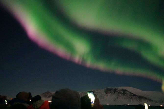 Aurora by Boat Reykjavik Adventure - Price and value: what $78 buys you in Reykjavik winter