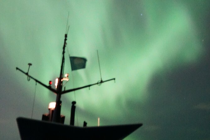 Aurora by Boat Reykjavik Adventure - Group size and what that means for your experience