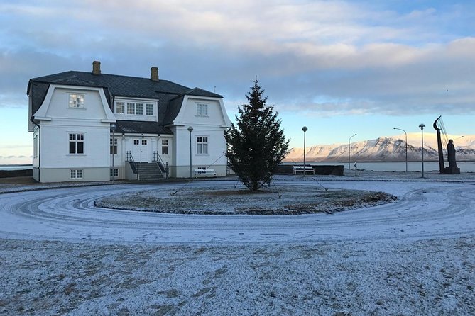 Blue Lagoon & Reykjavík Sightseeing - PRIVATE TOUR - Price and what makes it feel worth it