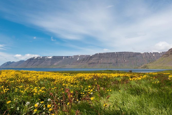 Borgarfjörður - Why this Borgarfjörður day feels special (and not chaotic)