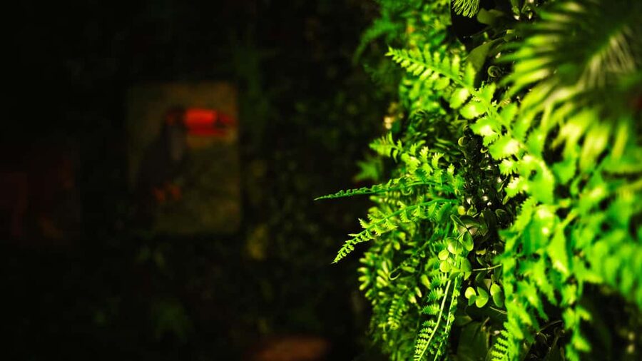Breakout Reykjavík - Escape Room - Choosing Between Jungle Drums, Lost Train, and Maniac’s Lair