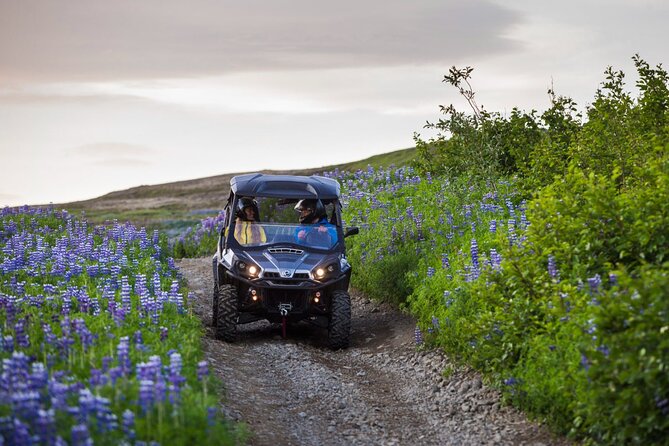 Buggy & Sky lagoon full day adventure in Reykjavik - Sky Lagoon at 13:00: geothermal pools and the 7-step ritual
