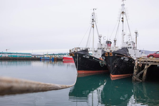 City Sightseeing Reykjavik Hop-On Hop-Off Bus Tour: 24 or 48-Hour - Perlan and the hotel zone: a good place to plan your afternoon