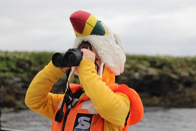 Classic Puffin Watching Cruise from Downtown Reykjavík - Reykjavik sightseeing from the water: Harpa, Hallgrímskirkja, and Sun Voyager