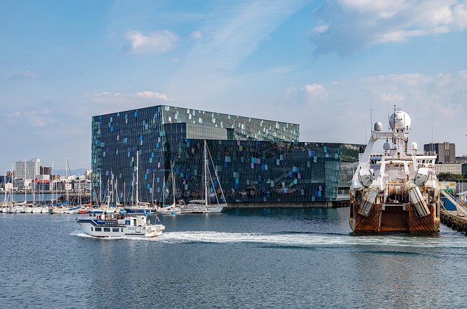 Cruise Port Private Transfer to Keflavik Airport - The 45-Minute KEF Airport Drop-Off, What to Watch For