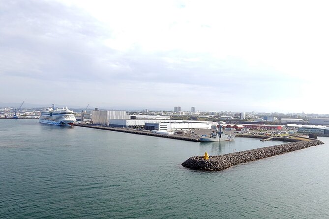 Cruise Port Transfer : Reykjavik to Cruise Port - Key things that make this transfer work