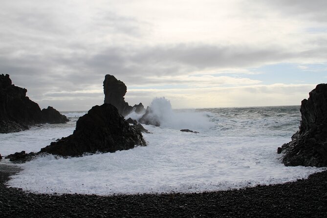 Day Trip to Snæfellsness Peninsula from Reykjavik - Arnarstapi at Samkomuhusið: soup or drinks and a real pause