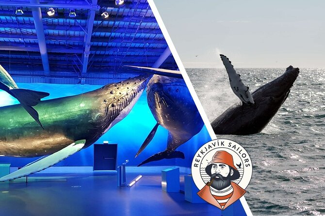 Deluxe Whale Watching and Whales of Iceland Exhibition Combo from Reykjavik - What happens if you do not get sightings