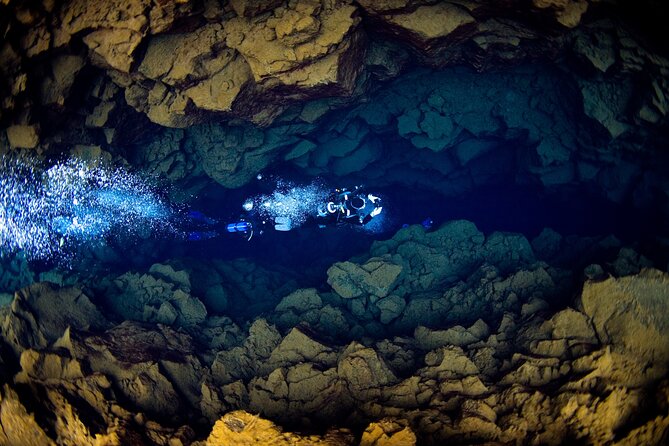 Dive the Divide: Silfra Fissure Scuba Tour | Meet at Thingvellir - The pre-water setup: ladder down, waist-deep acclimatizing, then checks