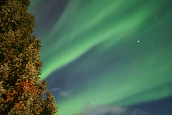 Exclusive 3-Hour NORTHERN LIGHTS Experience – Private Tour - Pickup in Reykjavik: why the start time matters more than you think