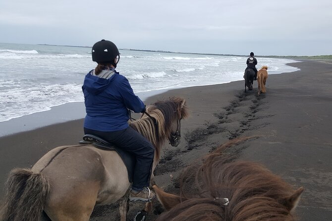 Family Horse Riding Tour in Thorlakshofn - The riding itself: equipment, supervision, and the real pace