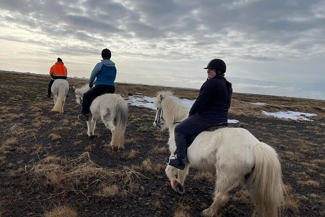 Family Horse Riding Tour in Thorlakshofn - Should you book Alhestar’s horse ride in Thorlákshöfn?