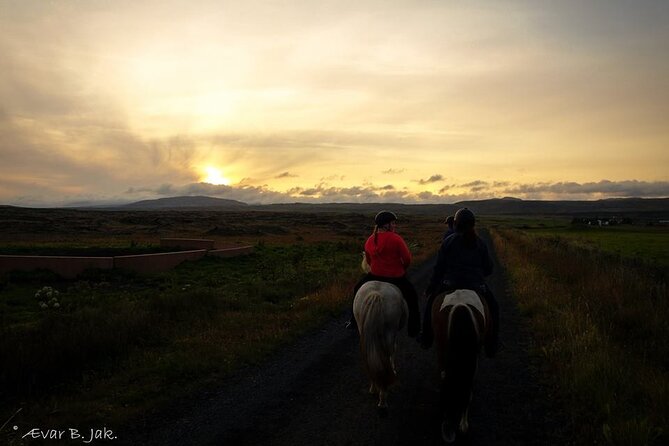 Family Horse Riding Tour in Thorlakshofn - Strandakirkja and the ocean-cliff wave show