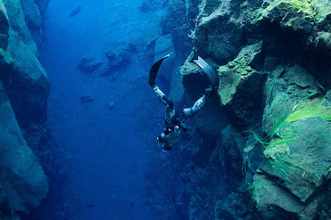 Freedive Silfra Half Day Tour - Key things that make this tour work