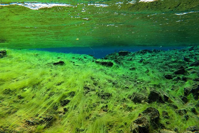 Freedive Silfra Half Day Tour - First stop: meeting at Vallarvegur, then straight to Silfra